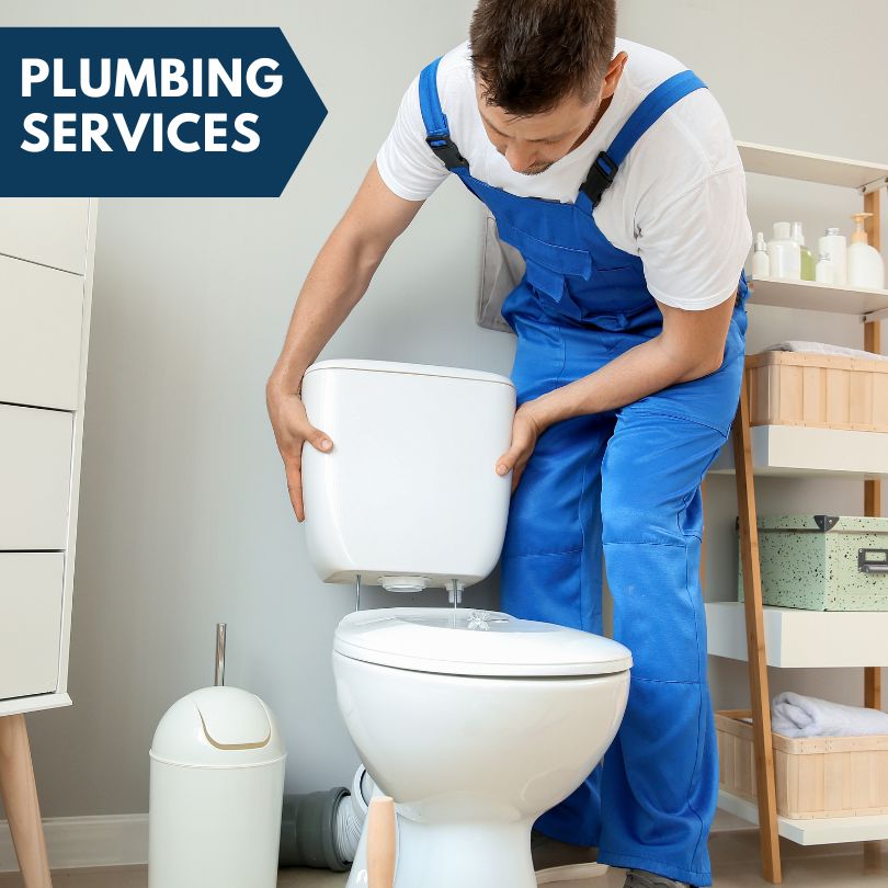 Plumbing Company in Federalsburg, MD